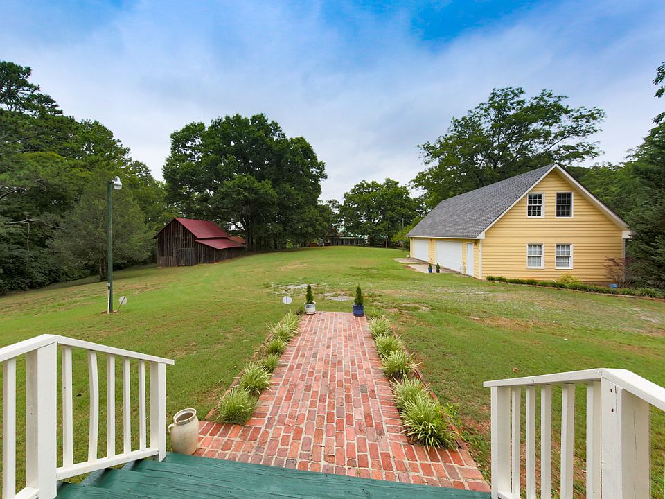View of Backyard