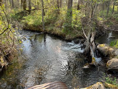 S Cow Creek Rd, Whitmore, CA, 96096