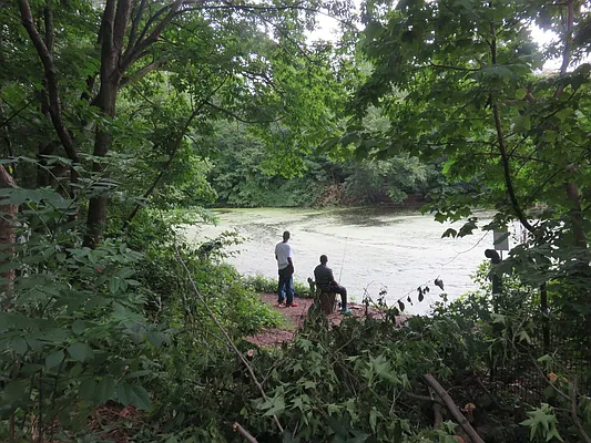 Rented by Space Real Estate | media 37