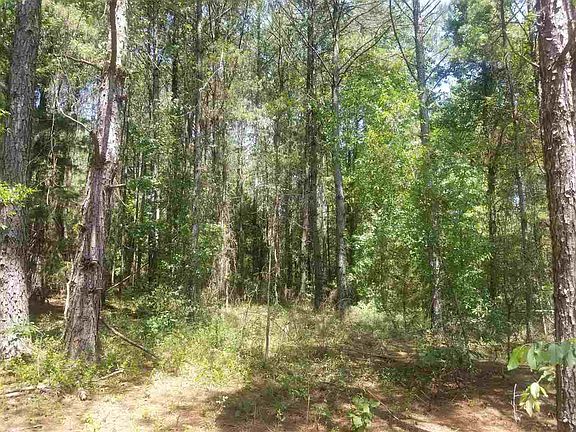 5th image of Quitman Hwy S
