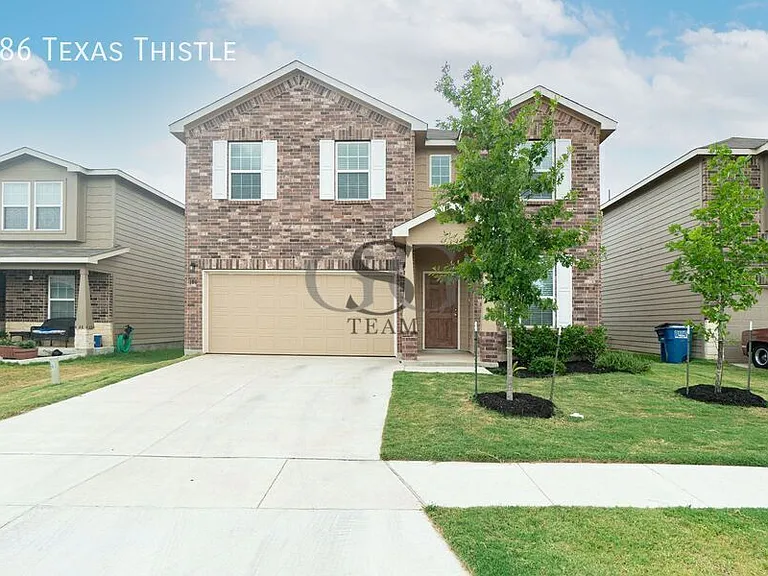 186 Texas Thistle — Photo 2