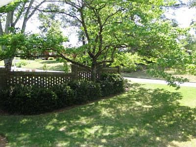 4th image of 3304 11th Ave
