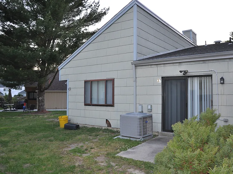 Sliding door to back patio and backyard