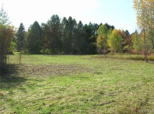 13633 Carney Rd, Akron, NY 14001