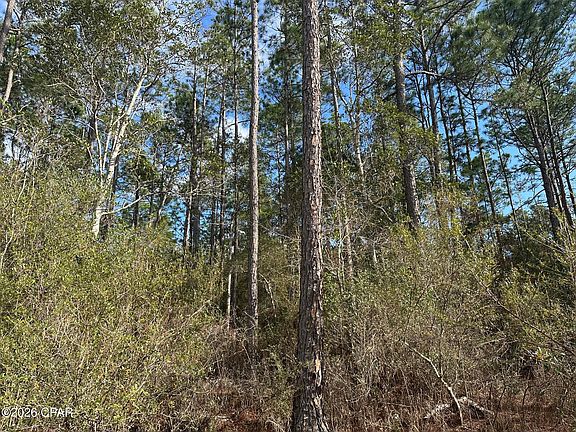 2nd image of 5033 Douglas Ferry Rd