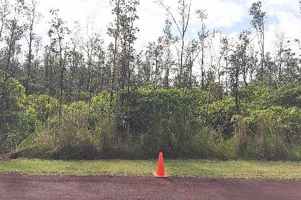 1st image of Tree Fern Dr Lot 62
