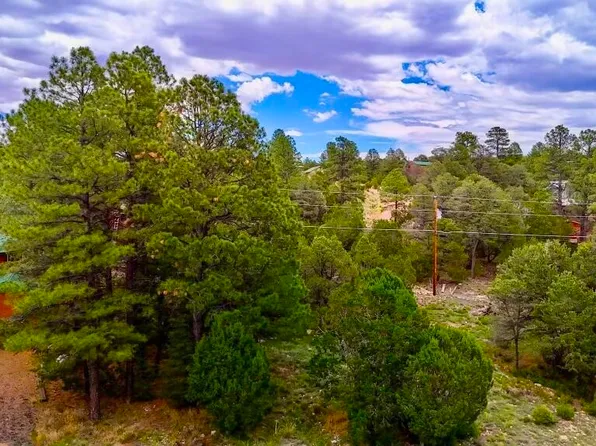 1953 Aspen Cir, Heber, AZ 85933