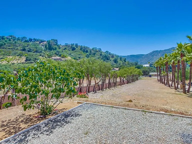 11381 Reidy Canyon Pl — Photo 25