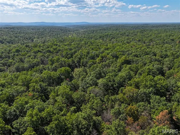 0 Delbridge Rd, Potosi, MO 63664