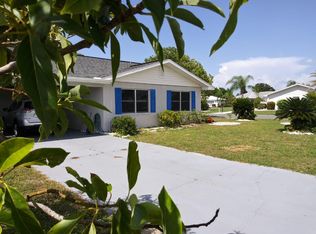 1801 Pineapple Palm Ct, Sun City Center, FL 33573