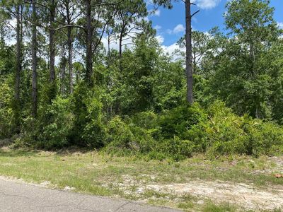 Jones Homestead Rd. #LOT 14, Port St. Joe, FL, 32456