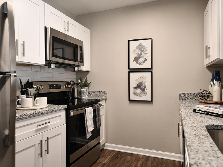 Stainless Appliances