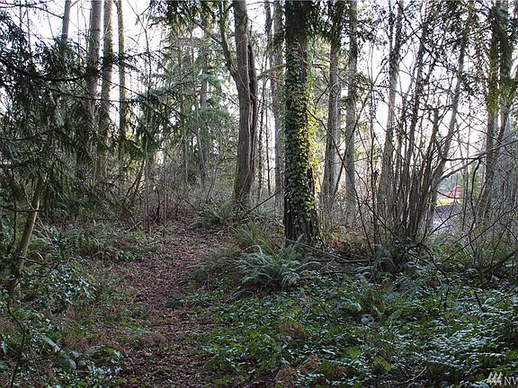 4th image of 210 116th Ave SE