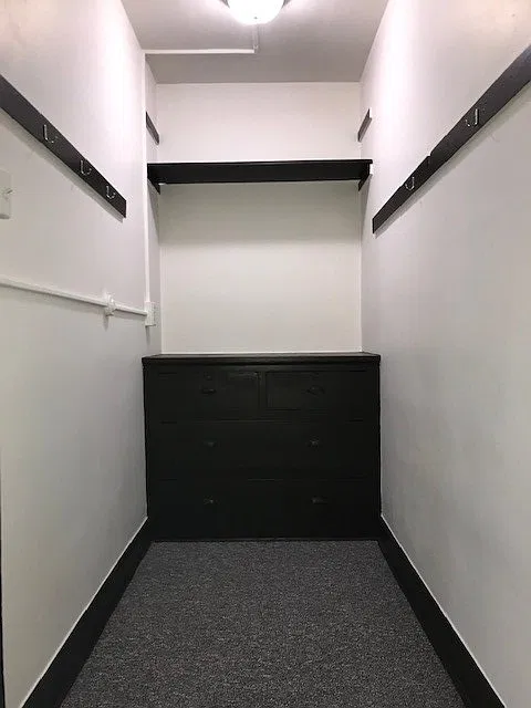 Studio, 337 sqft, $750 — Photo 1