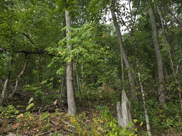 Dark Hollow Ln, Rocky Gap, VA 24366