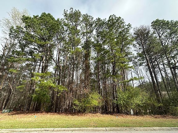 2nd image of 1048 Longstreet Place LOT H-032