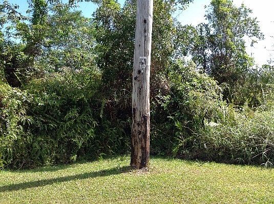 4th image of 15-2833 S Manalo St Lot 1157
