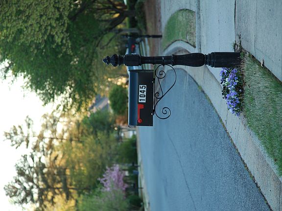 Beautiful neighborhood