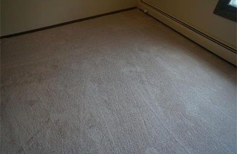 4th image of 825 Old Settlers Trl APT 8