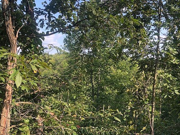 2nd image of 115 Clear Water Ln