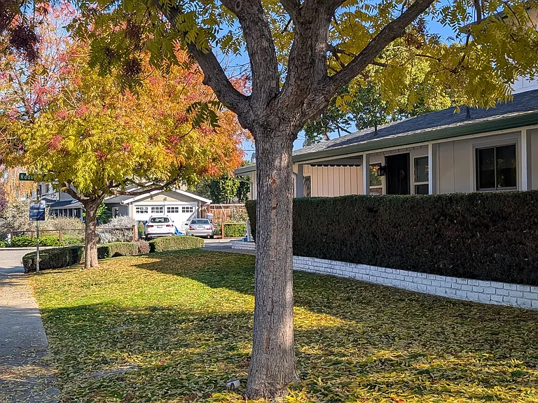 221 Rodonovan Dr — Photo 12