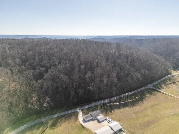 0 Millers Run Fallen Timber Rd, Lucasville, OH 45648