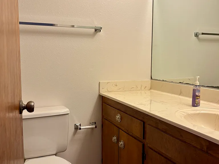 31016 Hawksmoor Dr — Photo 8