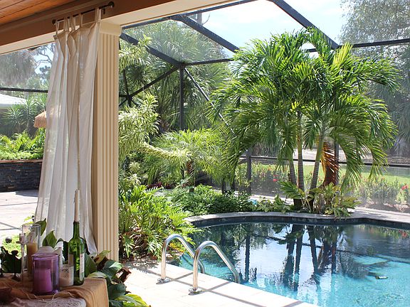 Pool w/ surrounding foliage
