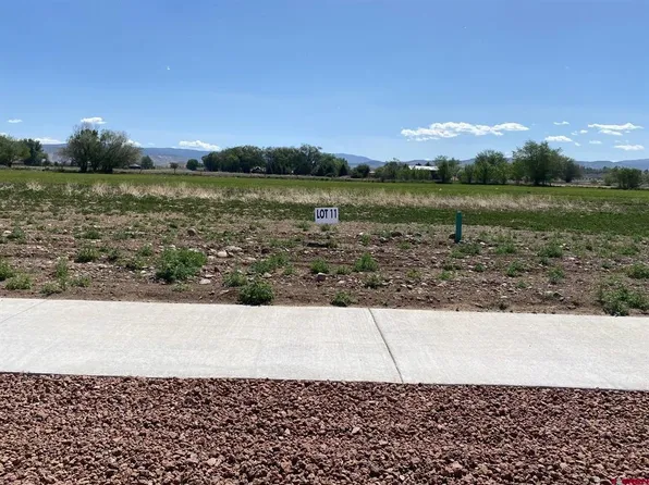 Lot 11 6700 Road, Montrose, CO 81401