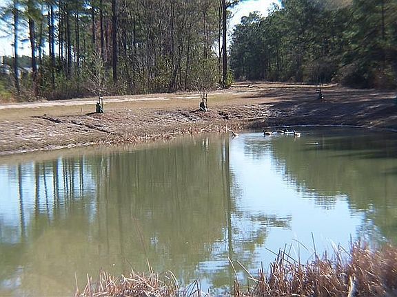 pond in back gives extra privacy