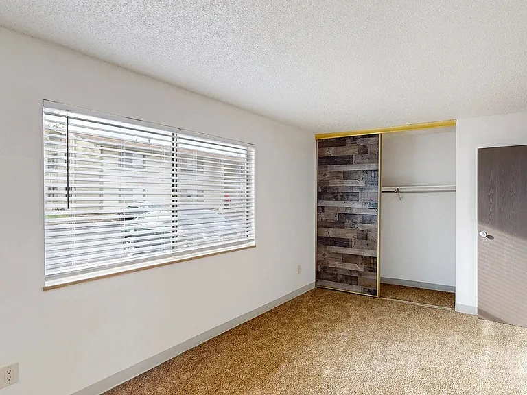 Natural Light Fills the Space
