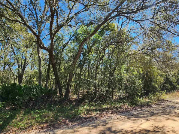 Cordell Ave, Interlachen, FL 32148