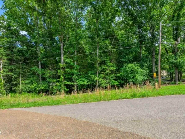 1 Beech Loop, Somerville, TN 38068