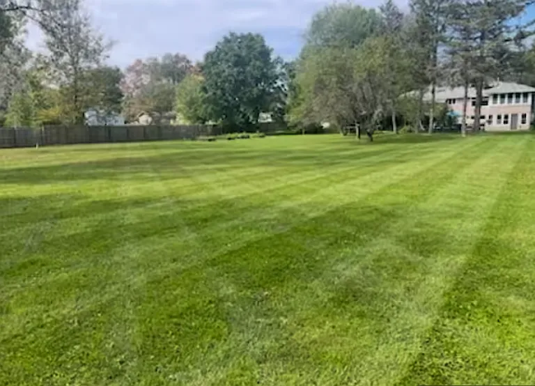 Massive open lawn offering privacy, room for activities, and a peaceful natural setting.