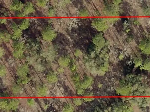 NW Ridgewood Rd Lot 5, Dunnellon, FL 34431