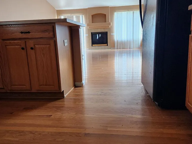 4845 Mount Evans St — Photo 16