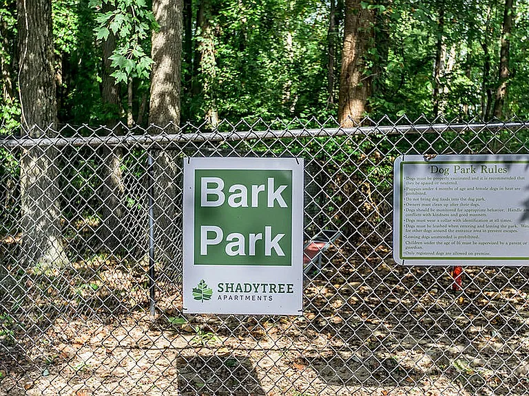 Shady Tree Apartments — Photo 8