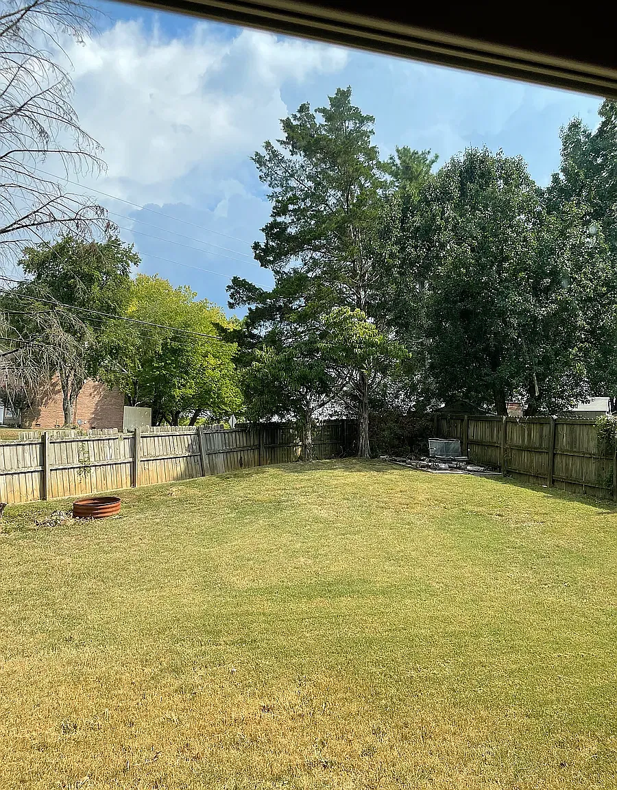 3 bed, 1248 sqft, $1,950 — Photo 4