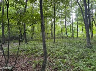 0 Winterberry Ln, James Creek, PA 16657