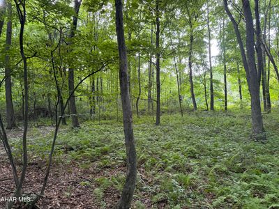 0 Winterberry Ln, James Creek, PA, 16657