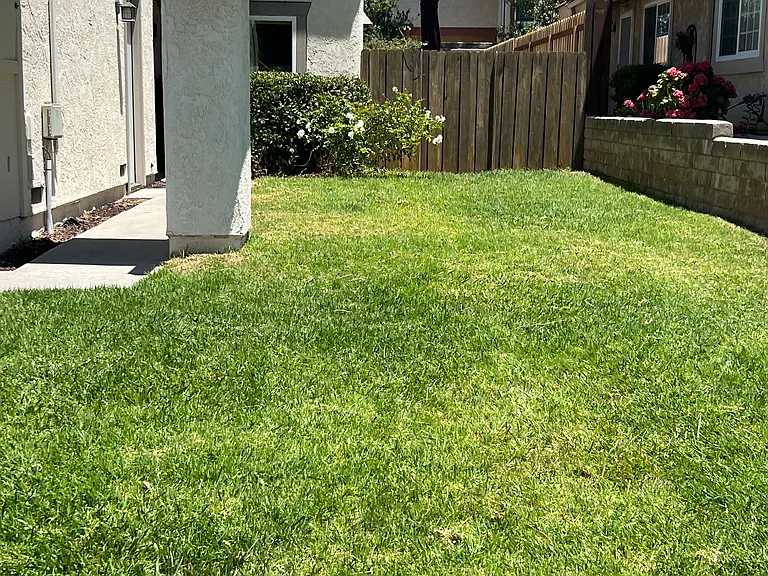 176 Shamrock Ct — Photo 17