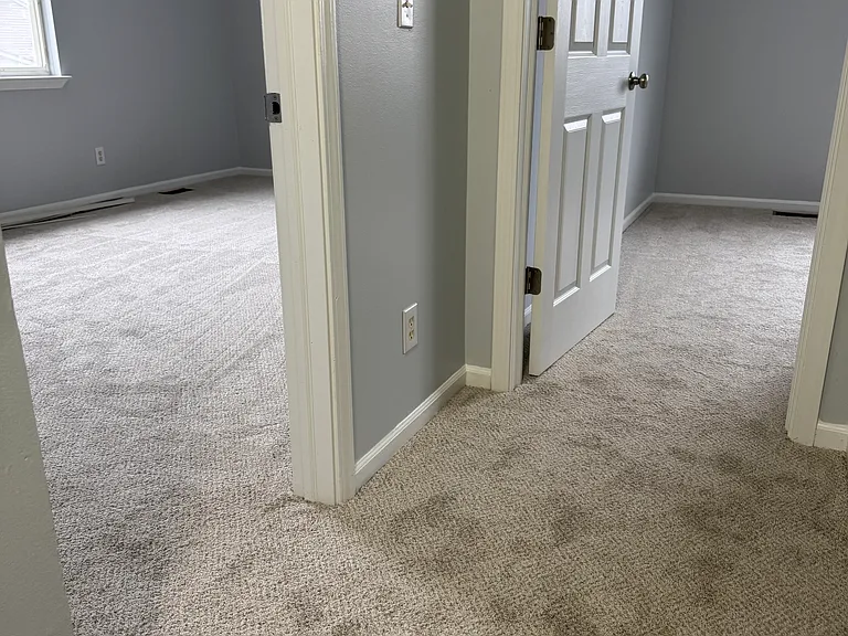 28173 Raleigh Crescent Dr — Photo 9