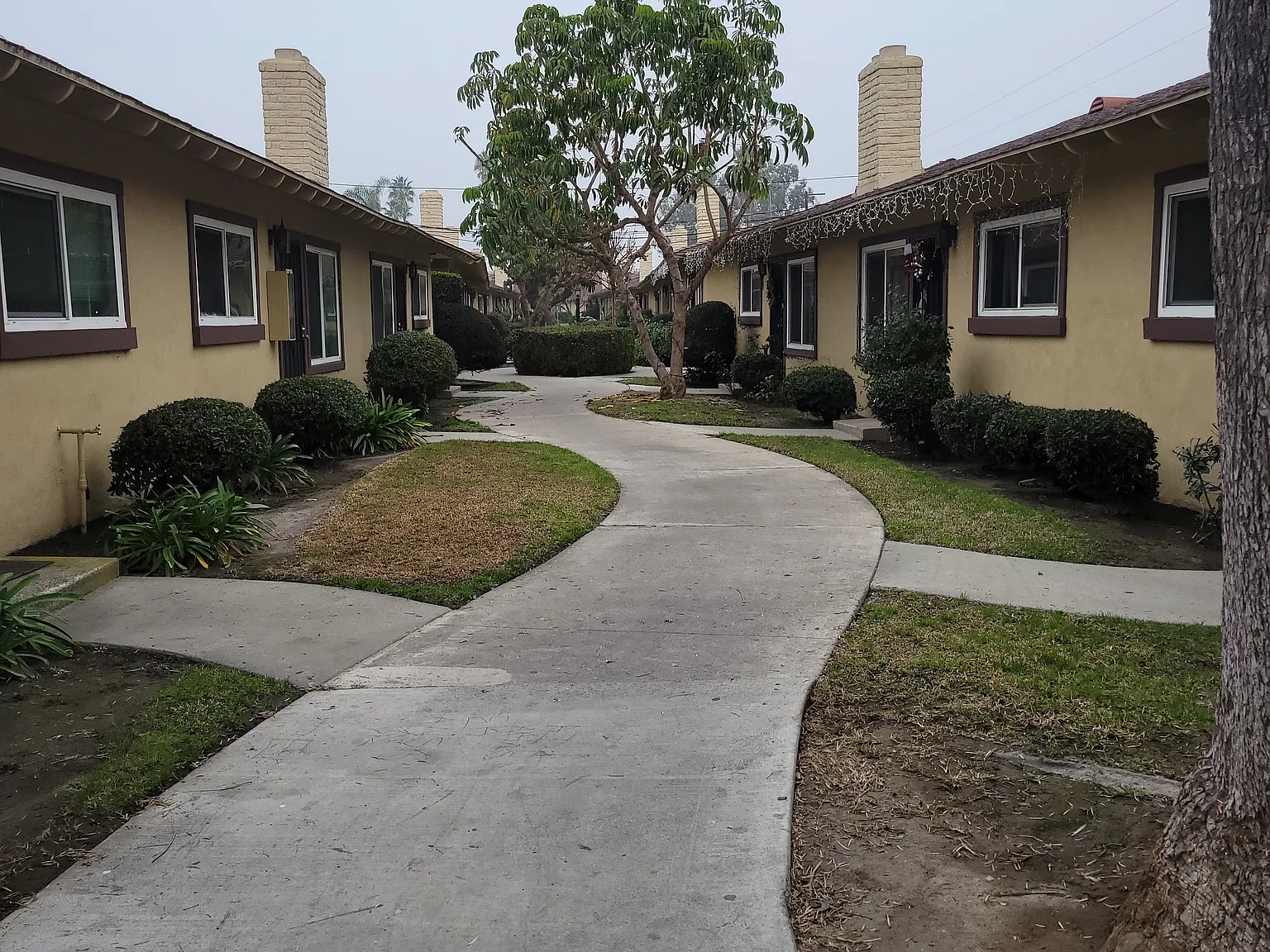 1 bed, 132 sqft, $1,000 — Photo 4