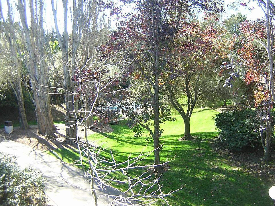 1st image of 5307 Shelter Creek Ln