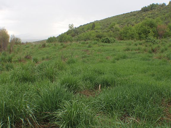 East side of the creek