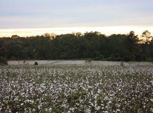 11828 New Hope Rd, Thomasville, GA 31757