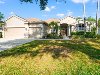 18310 Bankston Pl, Tampa, FL, 33647