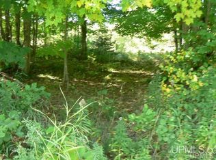 Johnson St, Chatham, MI 49816