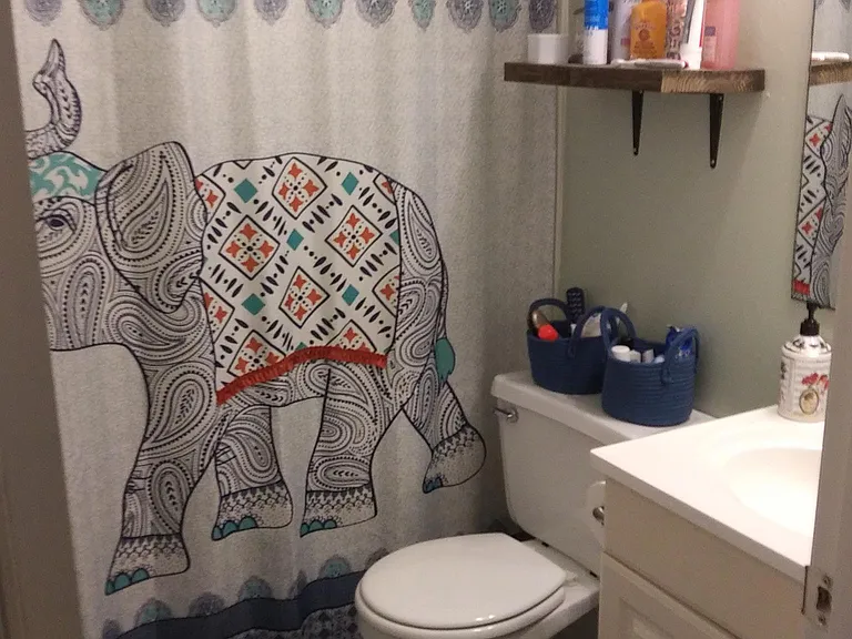 Main Bath