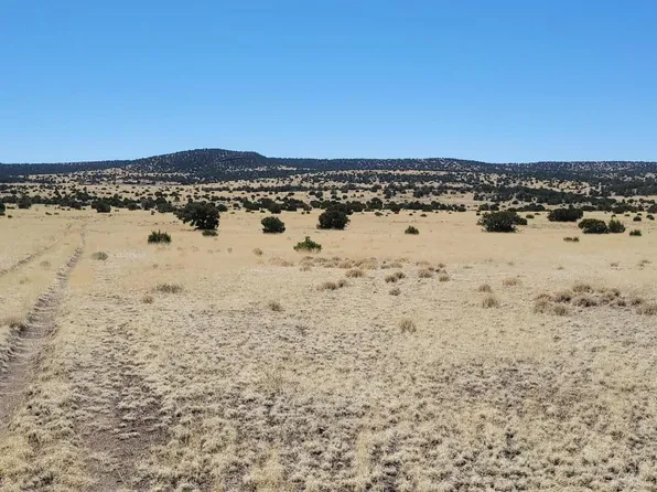 Off Powerline, Quemado, NM 87829